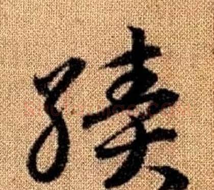 績字赵孟頫毛笔草书写法,摘自真草千字文
