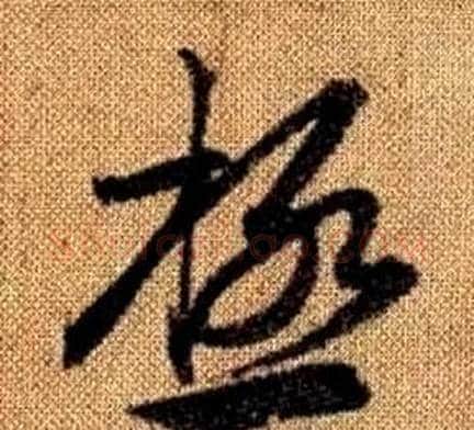 極字赵孟頫毛笔草书写法,摘自真草千字文