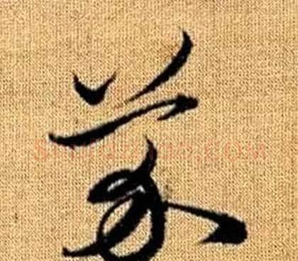 芥字赵孟頫毛笔草书写法,摘自真草千字文