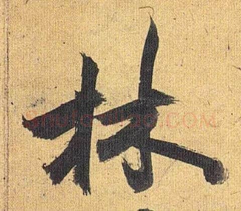 林毛笔草书写法,摘自明祝允明行草归田赋乐志论