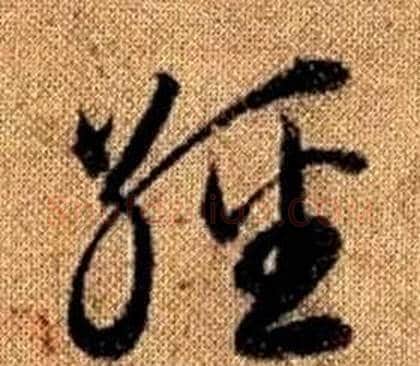經字赵孟頫毛笔草书写法,摘自真草千字文