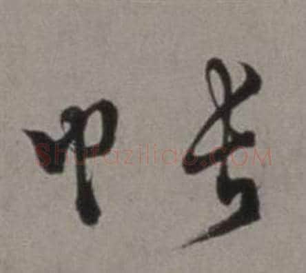 帳字徐渭毛笔草书书法写法,摘自行草书诗卷
