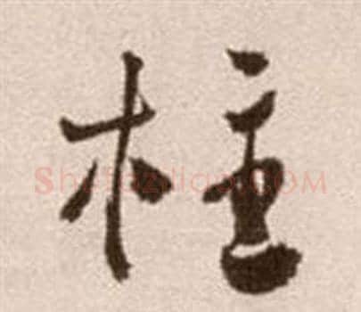 柱字徐渭毛笔草书书法写法,摘自论书法卷