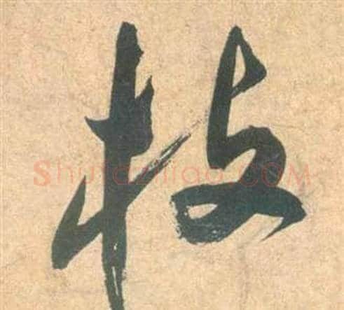 枝字祝枝山毛笔草书书法写法,摘自云江记