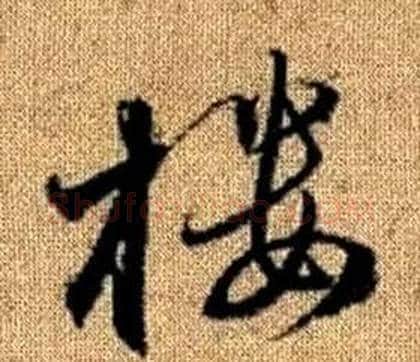 樓字赵孟頫毛笔草书写法,摘自真草千字文