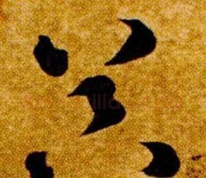 器字智永毛笔草书书法写法,摘自真草千字文