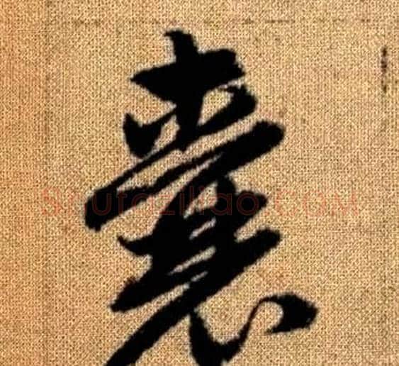 囊字赵孟頫毛笔草书写法,摘自真草千字文