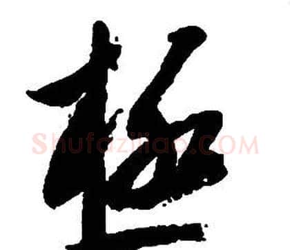 極字启功毛笔草书书法写法,摘自千字文