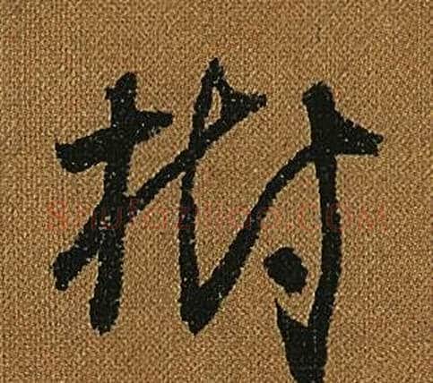 樹字怀素毛笔草书书法写法,摘自小草千字文