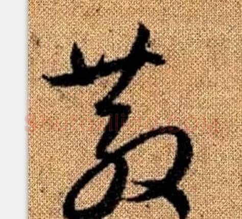散字赵孟頫毛笔草书写法,摘自真草千字文
