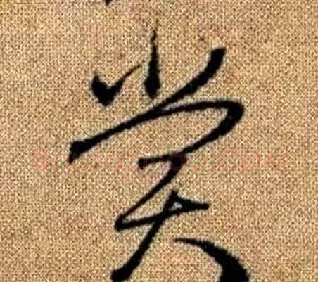 賞字赵孟頫毛笔草书写法,摘自真草千字文