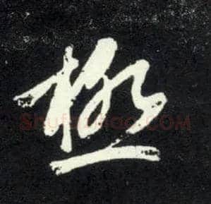 极毛笔草书写法,摘自元赵孟頫天冠山诗帖