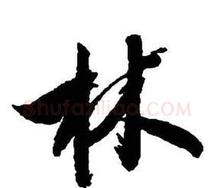 林字启功毛笔草书书法写法,摘自千字文