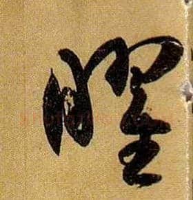 曜毛笔草书写法,摘自唐孙过庭书谱
