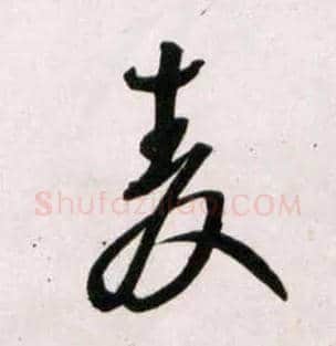 麦毛笔草书写法,摘自明王铎草书诗卷