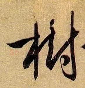 树毛笔草书写法,摘自唐孙过庭书谱
