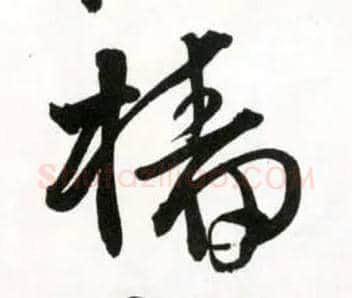 樯毛笔草书写法,摘自明王铎草书诗卷