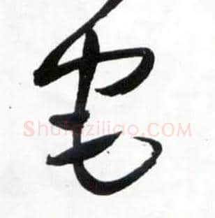 宅毛笔草书写法,摘自明王铎草书诗卷