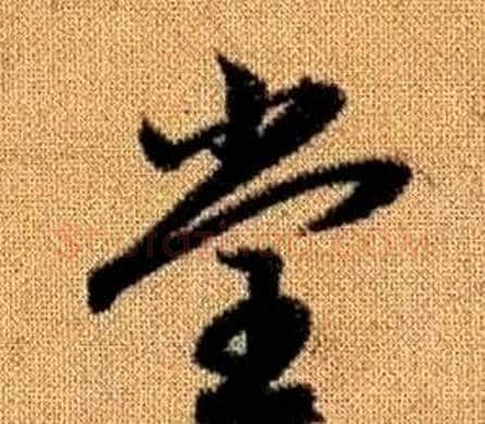 堂字赵孟頫毛笔草书写法,摘自真草千字文