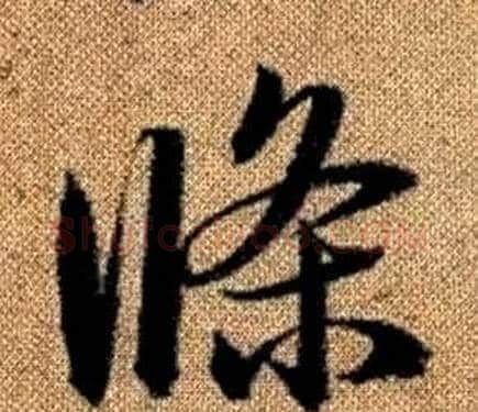 條字赵孟頫毛笔草书写法,摘自真草千字文