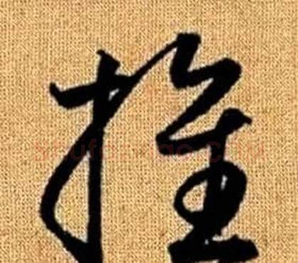 推字赵孟頫毛笔草书写法,摘自真草千字文