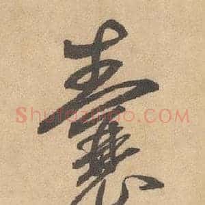 囊