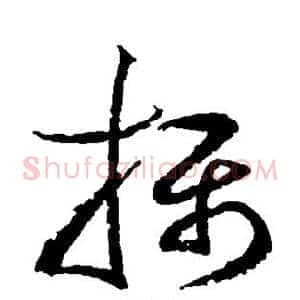 摄