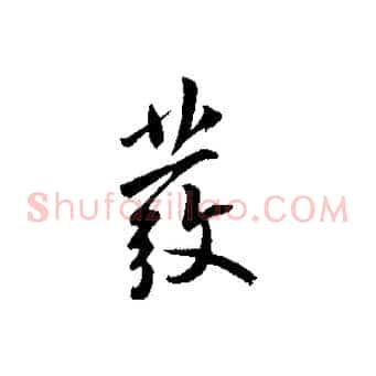 發