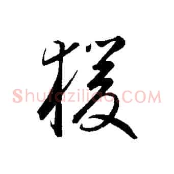 猿
