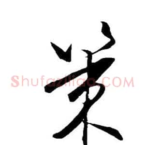 策