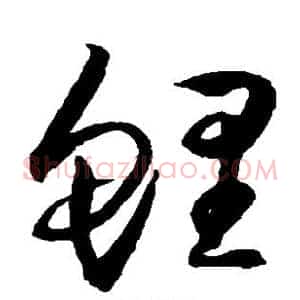 鲤