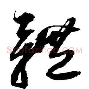 體