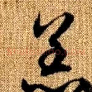 羔