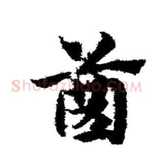 齒