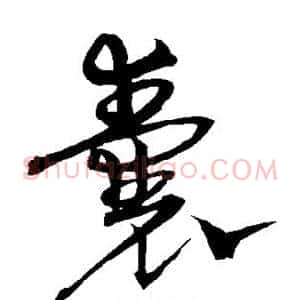 囊