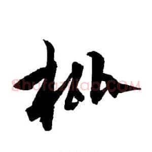 枇