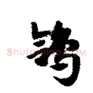 鸽