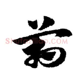 管