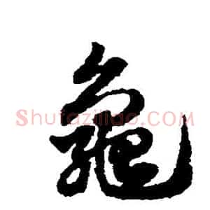 龟