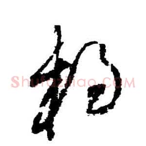 杨