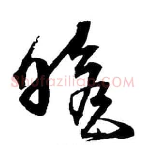 瞻