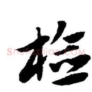 检