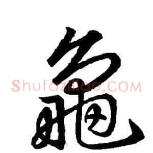 龜