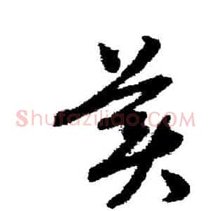 美