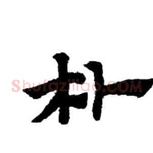 朴