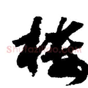 樓