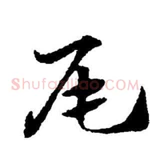 尾