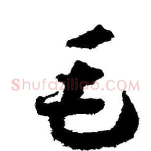 毛