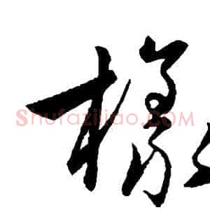 樣