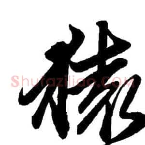 猿